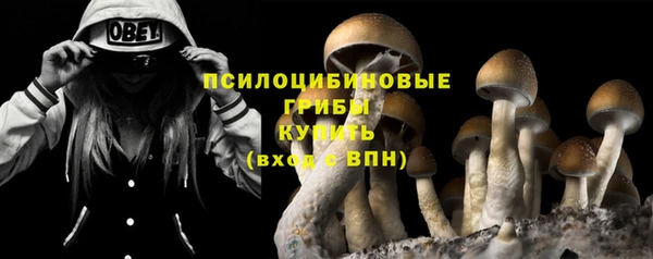 спиды Абдулино