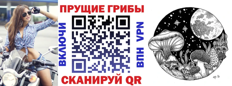 Галлюциногенные грибы Psilocybe  Сухиничи 