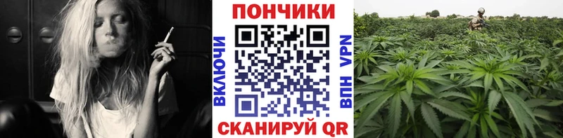 цены наркотик  Сухиничи  Бошки Шишки семена 